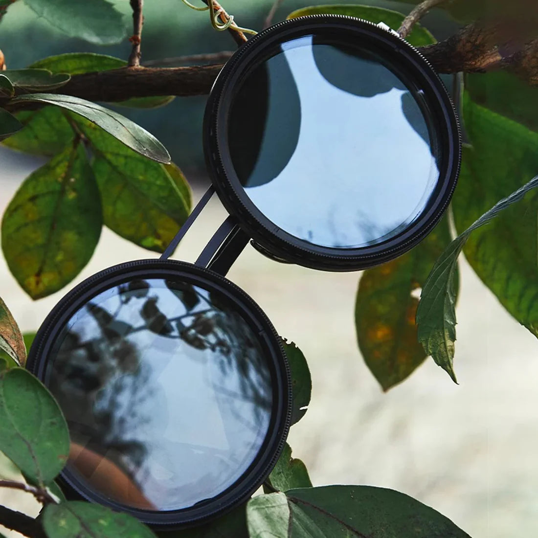 Wizy Black Lens Sunglasses