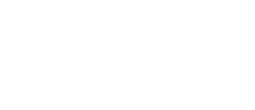 Wizy